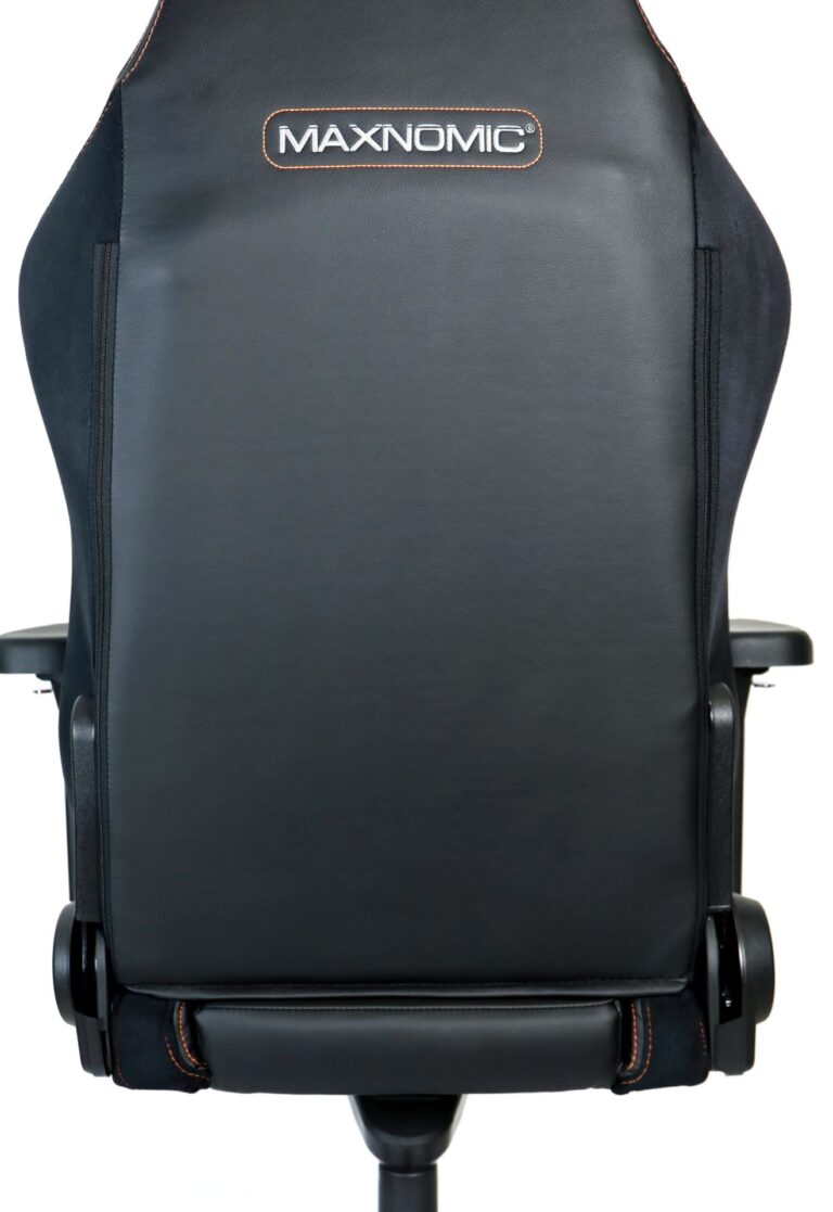 maxnomic-r-_needforseat_pro_back